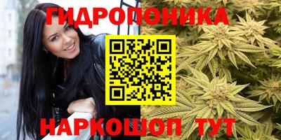 метадон Будённовск
