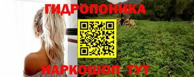 метадон Будённовск