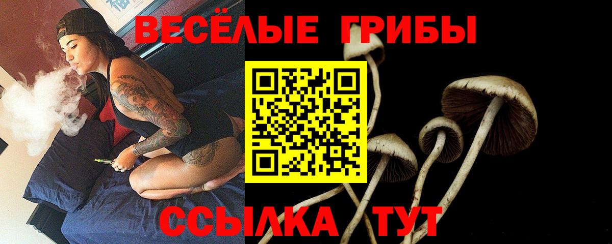 Псилоцибиновые грибы Cubensis  Вход с VPN  Мценск 